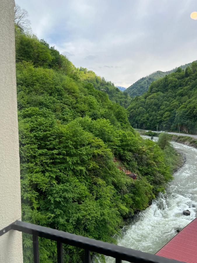 Pordanis Hotel Çamlıhemşin 外观 照片