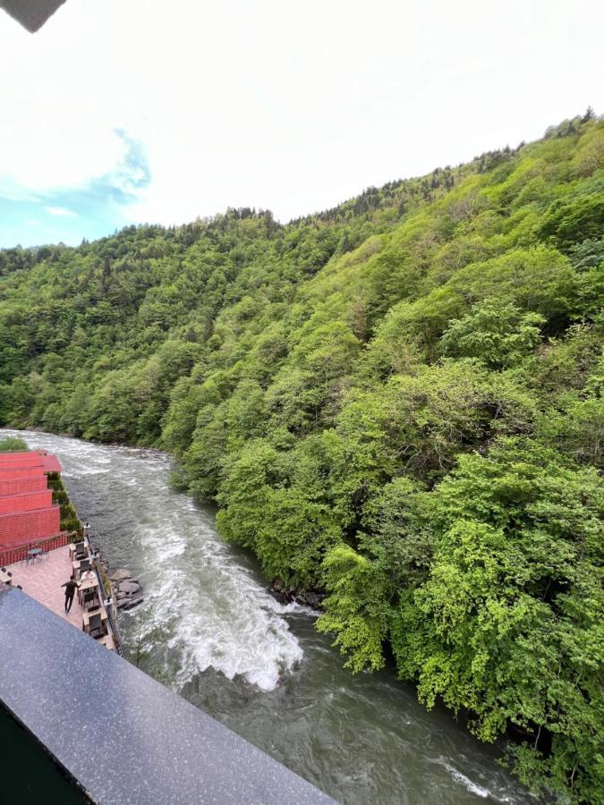 Pordanis Hotel Çamlıhemşin 外观 照片